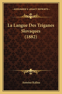 Langue Des Tziganes Slovaques (1882)