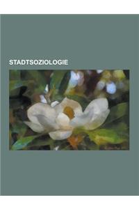 Stadtsoziologie: Urbanisierung, Grossstadt, Hanna Meuter, Segregation, Kiez, Megastadt, Stiftung Lebendige Stadt, Banlieue, Chicagoer S