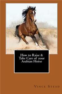 How to Raise & Take Care of Your Arabian Horse
