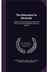 The Naturalist In Bermuda