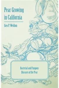 Pear Growing in California - Bacterial and Fungous Diseases of the Pear