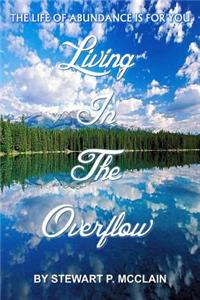 Living In The Overflow