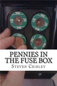 Pennies IN The Fusebox