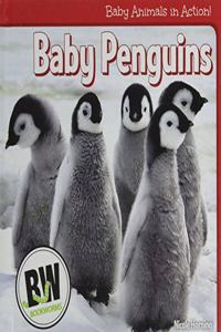 Baby Animals in Action!