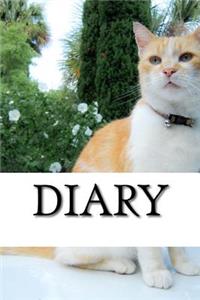 Diary