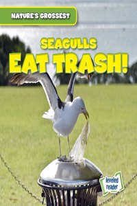 Seagulls Eat Trash!