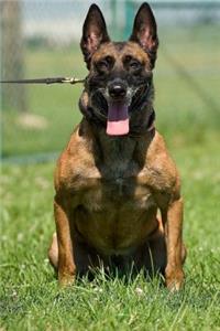 Belgian Malinois Dog Journal
