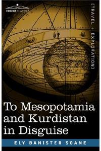 To Mesopotamia and Kurdistan in Disguise