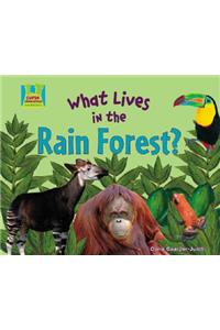 What Lives in the Rain Forest?
