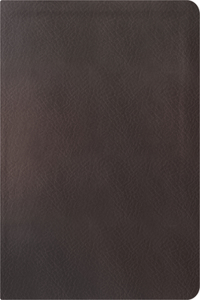 La Biblia de Estudio de la Reforma, Edición Condensada, Dark Brown