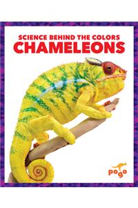 Chameleons