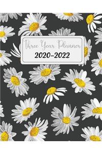 2020-2022 Three Year Planner