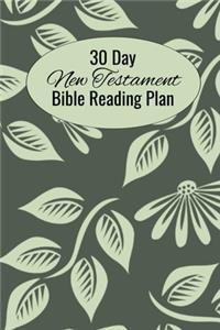 30 Day New Testament Bible Reading Plan