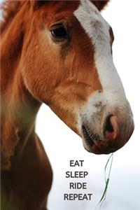 Eat Sleep Ride Repeat