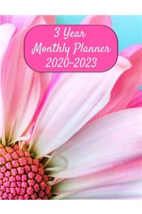 3 Year Monthly Planner