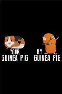 Your Guinea Pig My Guinea Pig