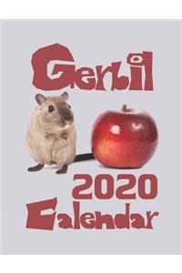 Gerbil 2020 Calendar