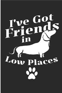 I've Got Friends in Low Places