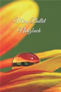Mein Bullet Notizbuch