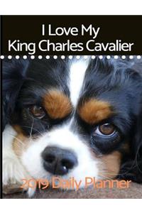 I Love My King Charles Cavalier