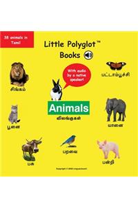 Animals