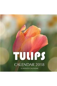 Tulips Calendar 2018