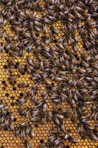 Beekeeping Beehive Busy Worker Bees Journal