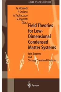 Field Theories for Low-Dimensional Condensed Matter Systems