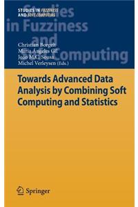 Towards Advanced Data Analysis by Combining Soft Computing and Statistics