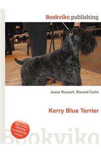 Kerry Blue Terrier