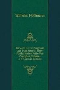 Ruf Zum Herrn: Zeugnisse Aus Dem Amte in Einer Fortlaufenden Reihe Von Predigten, Volumes 5-6 (German Edition)