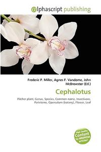 Cephalotus