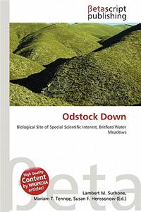 Odstock Down