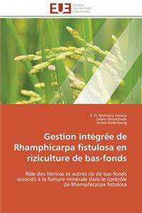 Gestion Intégrée de Rhamphicarpa Fistulosa En Riziculture de Bas-Fonds