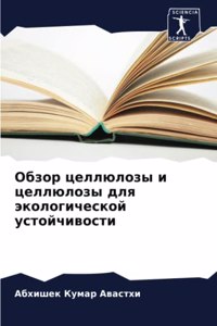 Обзор целлюлозы и целлюлозы для экологиче