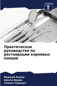 Практическое руководство по реставрации