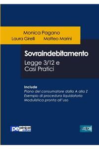 Sovraindebitamento. Legge 3/12 e casi pratici