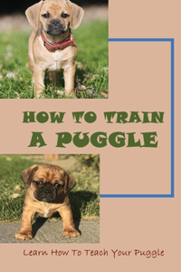 How To Train A Puggle