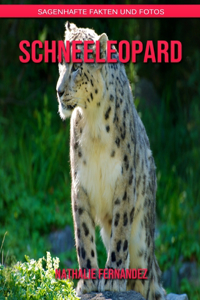 Schneeleopard