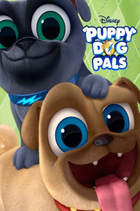Puppy Dog Pals Coloring Book