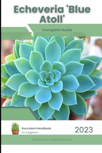 Echeveria 'Blue Atoll'