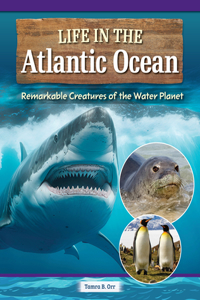 Life in the Atlantic Ocean: Remarkable Creatures of the Water Planet