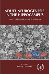 Adult Neurogenesis in the Hippocampus