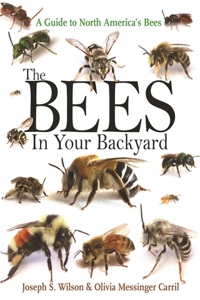 Bees in Your Backyard