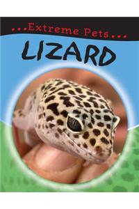 Lizard