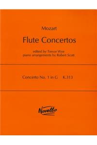 Concerto No. 1 in G, K.313