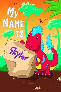 My Name is Skyler