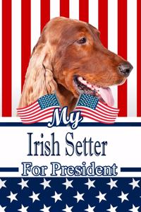 My Irish Setter for President