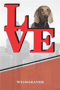 Weimaraner