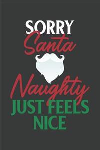 Sorry Santa Naughty Just Feels Nice